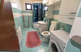 Apartament cu 2 camere in Șelimbăr, Pictor Brana