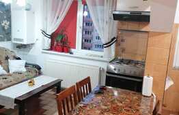 Apartament la mansarda, 2 camere, mobilat si utilat, zona Cedonia!