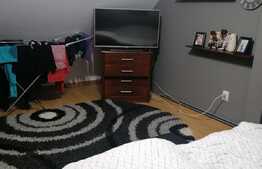 Apartament la mansarda, 2 camere, mobilat si utilat, zona Cedonia!