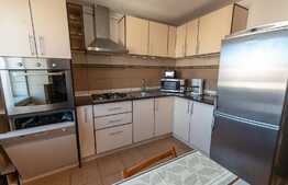 Apartament de 3 camere, 85 mp, zona de case în Turnisor