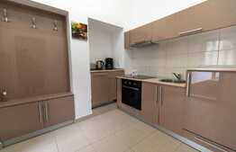 Apartament de 3 camere, zona Ultracentrala