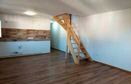 Apartament la mansarda de 3 camere, Vasile Aaron