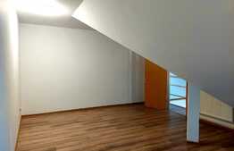 Apartament la mansarda de 3 camere, Vasile Aaron