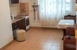 Apartament de 4 camere, zona Terezian