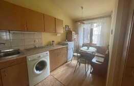Apartament la casă, 216mp de curte, la 5 minute de centrul Sibiului!