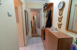 Apartament de 3 camere foarte ingrijit, zona Cireșica