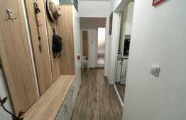 Apartament de 2 camere, renovat complet, zona Vasile Aron