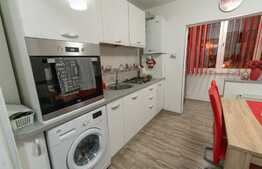 Apartament de 2 camere, renovat complet, zona Vasile Aron