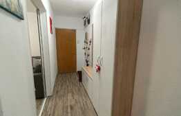 Apartament de 2 camere, renovat complet, zona Vasile Aron