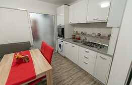 Apartament de 2 camere, renovat complet, zona Vasile Aron