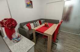 Apartament de 2 camere, renovat complet, zona Vasile Aron