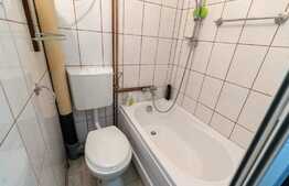 Garsoniera mobilata, 21 mp, izolata exterior, zona Terezian