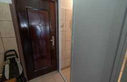 Garsoniera mobilata, 21 mp, izolata exterior, zona Terezian