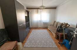 Garsoniera mobilata, 21 mp, izolata exterior, zona Terezian