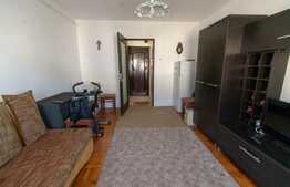 Garsoniera mobilata, 21 mp, izolata exterior, zona Terezian