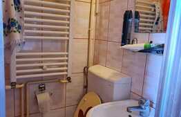 Garsoniera 24 mp, decomandata, partial mobilata!