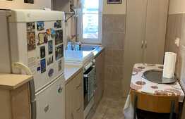 Apartament de 2 camere, 38 mp, la Ciresica