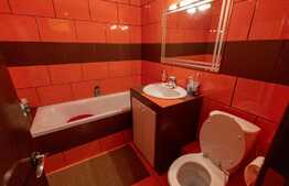 Apartament de 3 camere, decomandat, zona Vasile Aron