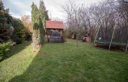 Garsoniera cu cota parte din curte, zona Calea Poplacii