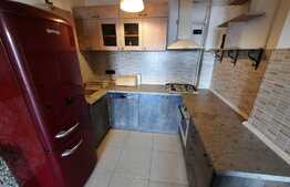 Apartament 3 camere, mobilat si utilat, zona Doamna Stanca