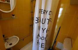 Apartament 3 camere, mobilat si utilat, zona Doamna Stanca