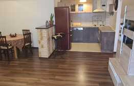 Apartament 3 camere, mobilat si utilat, zona Doamna Stanca