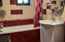 Apartament de 3 camere, 55 mp, in Doamna Stanca