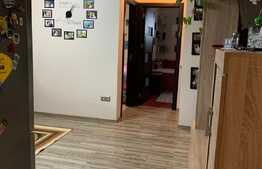 Apartament de 3 camere, 55 mp, in Doamna Stanca