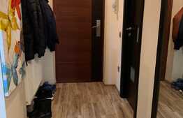 Apartament de 3 camere, 55 mp, in Doamna Stanca