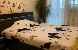 Apartament de 3 camere, 55 mp, in Doamna Stanca