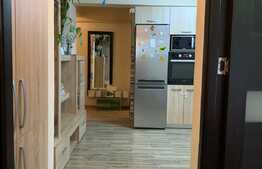 Apartament de 3 camere, 55 mp, in Doamna Stanca