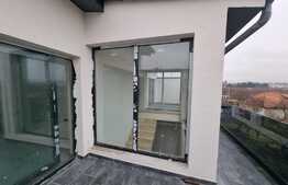 Casă singur în curte, 260 mp utili, în Turnișor