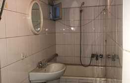 Apartament 2 camere, ultracentral, ideal pentru investitie