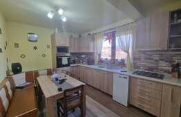 Doua duplexuri unul mobilat și unul la roșu, în Șura Mare!