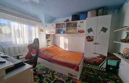 Doua duplexuri unul mobilat și unul la roșu, în Șura Mare!