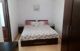 Apartament de 2 camere, semidecomandat, zona OMV Milea