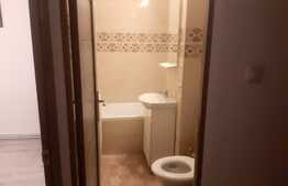 Garsoniera cocheta utilata si mobilata, Intrarea Siretului