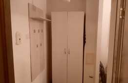 Garsoniera cocheta utilata si mobilata, Intrarea Siretului