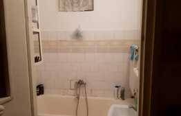 Apartament de 3 camere, semidecomandat, zona Milea-Luptei