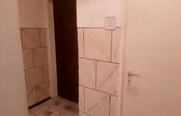 Apartament de 3 camere, semidecomandat, zona Milea-Luptei
