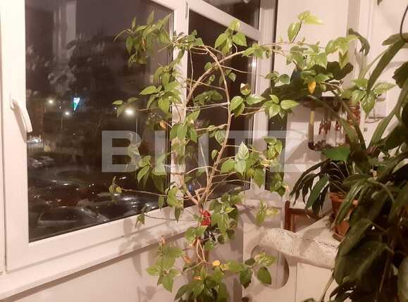 Apartament de vânzare 3 camere Hipodrom 1 - 77730AV | BLITZ Sibiu | Poza11