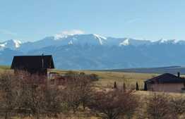 Vanzare casa individuala, 184 mp utili, 774 mp teren