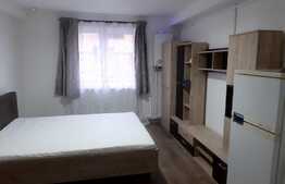 Garsoniera utilata si mobilata, zona Milea, Vasile Aron