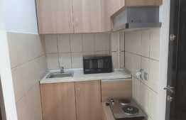 Garsoniera utilata si mobilata, zona Milea, Vasile Aron