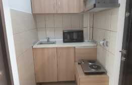 Garsoniera utilata si mobilata, zona Milea, Vasile Aron