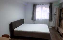 Garsoniera utilata si mobilata, zona Milea, Vasile Aron