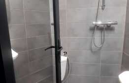 Garsoniera utilata si mobilata, zona Milea, Vasile Aron