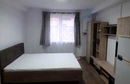 Garsoniera utilata si mobilata, zona Milea, Vasile Aron