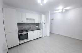 Apartament 3 camere, complet mobilat si utilat, zona Doamna Stanca