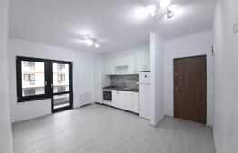 Apartament 3 camere, complet mobilat si utilat, zona Doamna Stanca